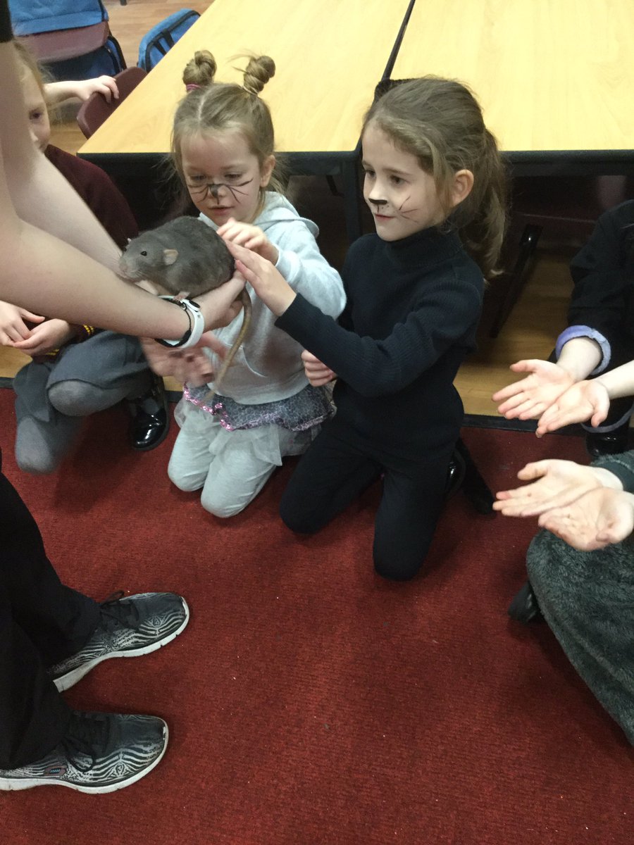 ssao_y2's tweet photo. There were lots of creepy crawlies in KS1 today https://t.co/zG5B4Axy1c