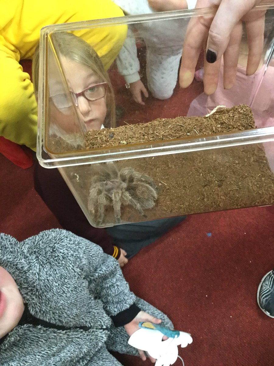 ssao_y2's tweet photo. There were lots of creepy crawlies in KS1 today https://t.co/zG5B4Axy1c