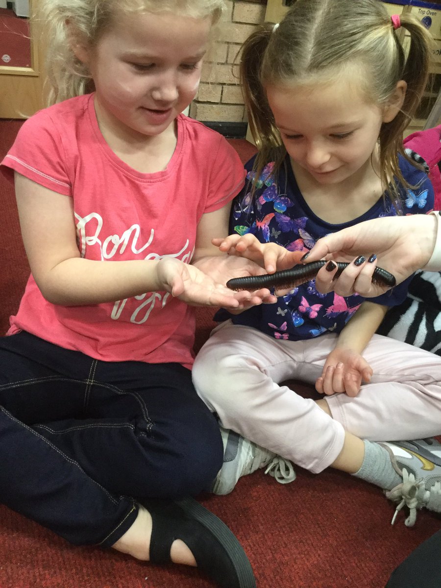 ssao_y2's tweet photo. There were lots of creepy crawlies in KS1 today https://t.co/zG5B4Axy1c