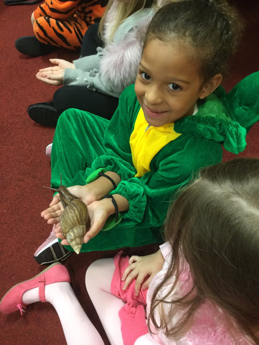 ssao_y2's tweet photo. There were lots of creepy crawlies in KS1 today https://t.co/zG5B4Axy1c