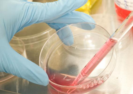 USDAScience's tweet photo. Read how Whole Genome Sequencing is improving efforts to combat antimicrobial rsistance. https://t.co/piLz5sOXQK #GlobalAMRChallenge #CombatingAMR #AntibioticResistance #USDA https://t.co/av6e4q5Jqf