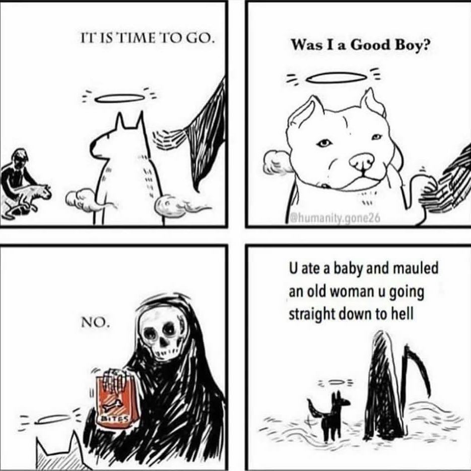 😂😂😂 had to share. P.S. big announcement coming tomorrow!! Stay tuned! #pibble #meme #pitbullsofig #ilovemypittie @trelsie_fit @provenk9