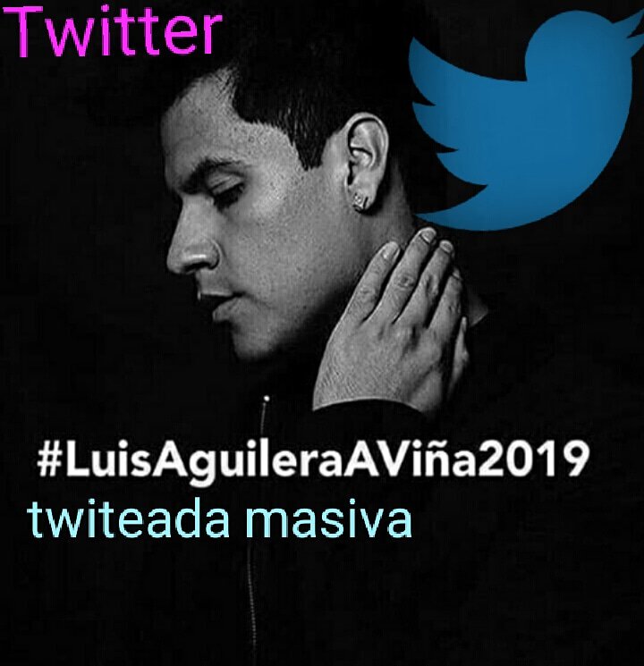 Fansc_Aguilera's tweet photo. Chicas twiteada masiva con el hastag #luisaguileraaviña2019 https://t.co/hjw9q3Gblp
