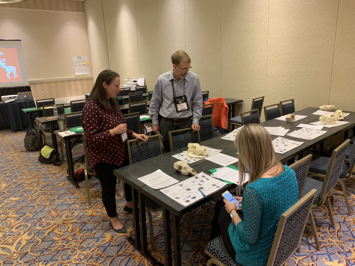 jaclyn_austin's tweet photo. Great collaboration between @RNatureGall at Robinson Nature Center &amp; Mrs. Furman-Berger @hcpss_hms sharing field experience for life science students @ #NSTA18 NationalHarbor #mdscipride #CelebrateHCPSS https://t.co/DeV73XLrx2