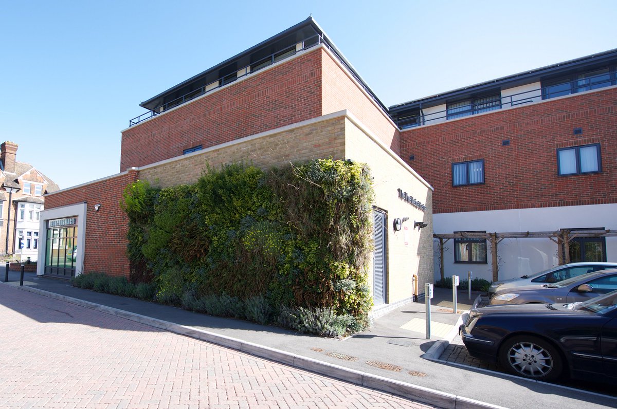 download Optimal interpolation of convergent algebraic series