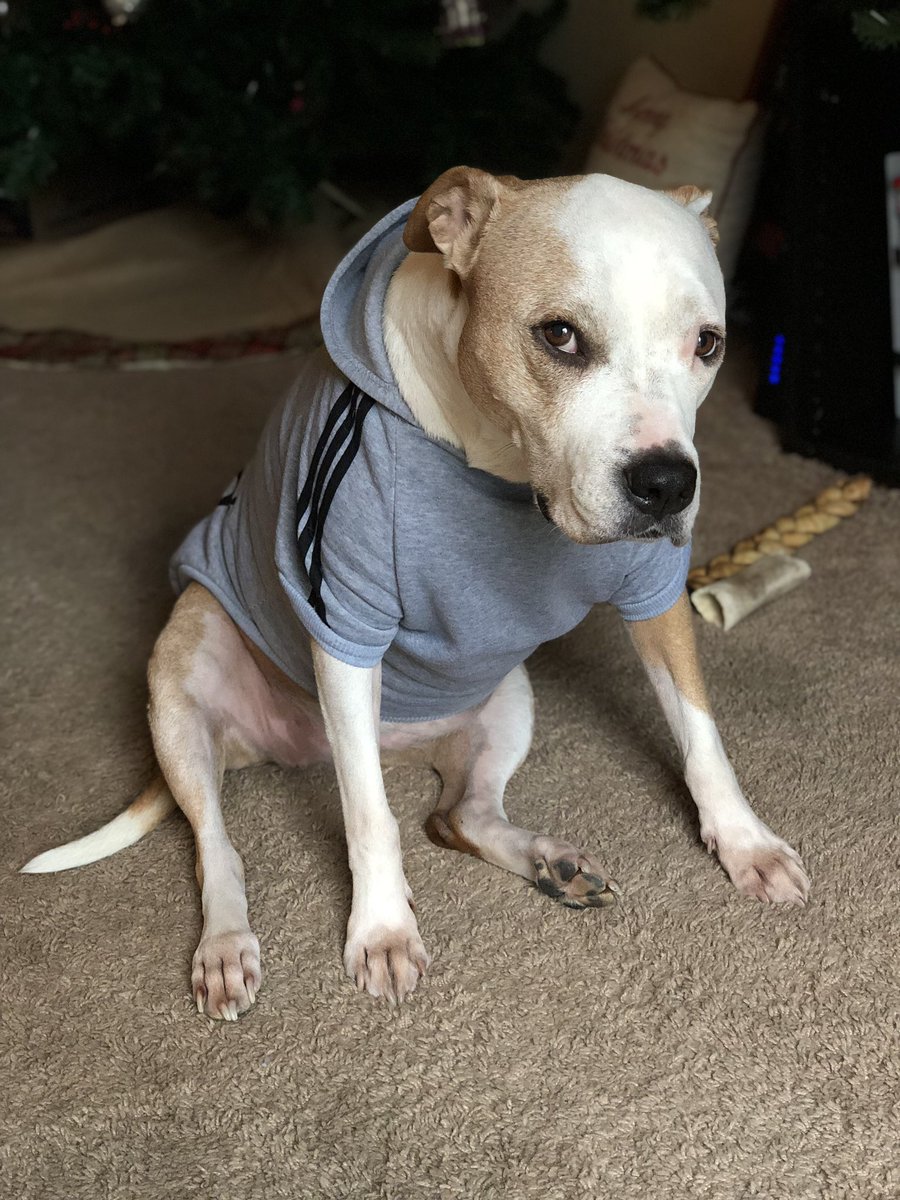 bradenlaraway's tweet photo. Her face doesn’t show it but she loves her new hoody. https://t.co/JIRNXdQSCP