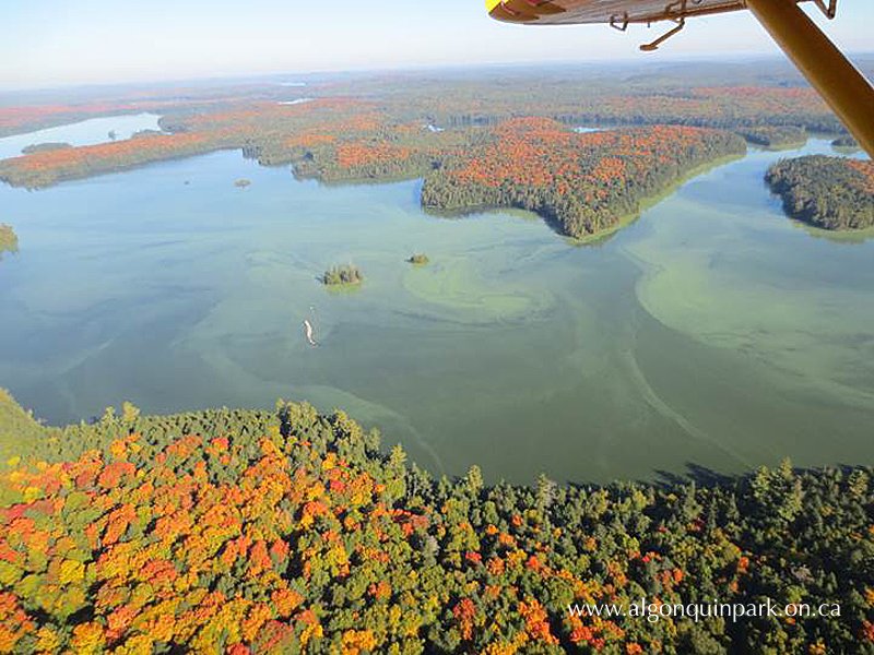 aslo_org's tweet photo. Is #climatechange increasing #eutrophication in lakes? Or is it the opposite? Aleksey Paltsev presented the results from a long-term study at the ASLO 2018 Summer Meeting.
Learn about his research in an article by an #ASLO18 #JournalistforaDay at https://t.co/qhE91ZhqYx @NSF_GEO https://t.co/xDrd3arexJ