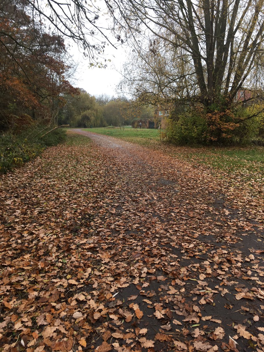 BarnetCycling's tweet photo. There’s a shared use path under here somewhere... Perhaps @BarnetCouncil could clear these hazardous sections of the Dollis Valley Greenwall? https://t.co/lvfnmh9xLO