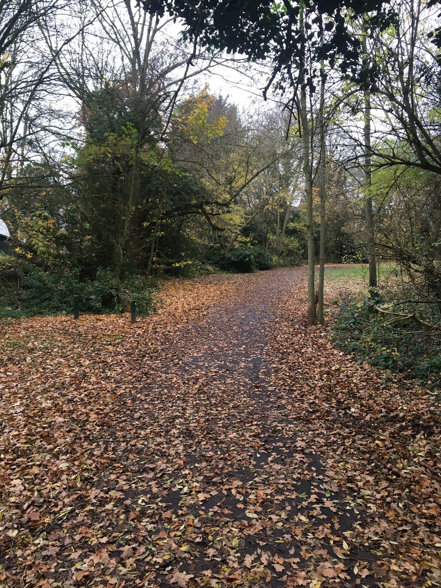 BarnetCycling's tweet photo. There’s a shared use path under here somewhere... Perhaps @BarnetCouncil could clear these hazardous sections of the Dollis Valley Greenwall? https://t.co/lvfnmh9xLO