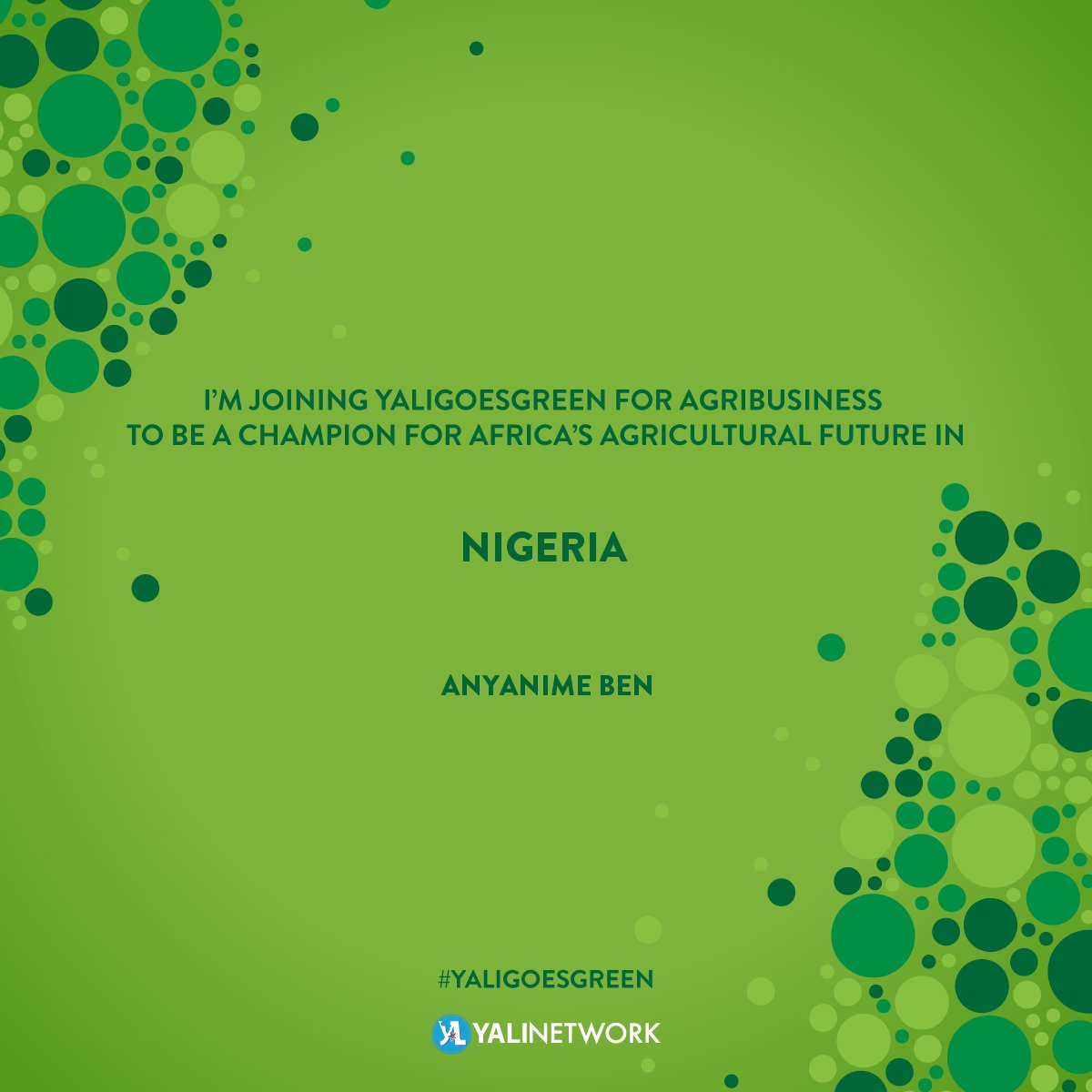 Lifespring Resort tweet media