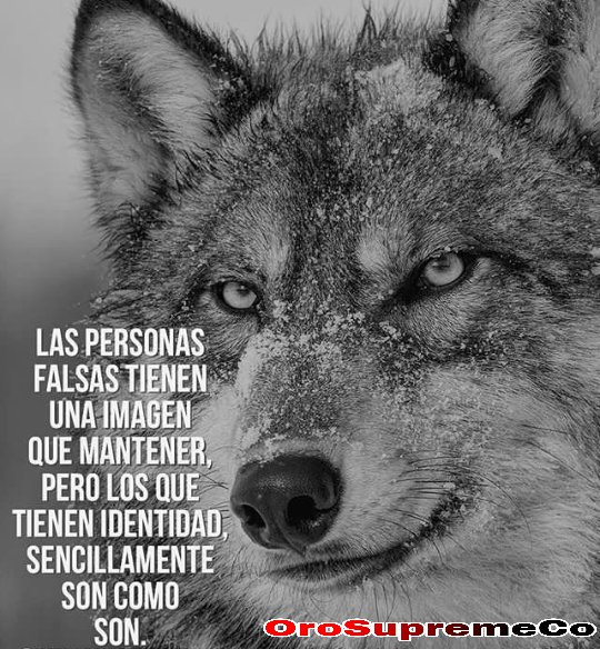 OroSupreme's tweet photo. #orosupreme #likeforlike #sabanagrande #caracas #dolar #dolartoday #orocaracas #comprooro #oro #instagram #money #joyas #comproplata #miami #california #followMe #elrecreocc #negocios #caracascity #oct #gold #venezuela #marketing #marketingdigital #hot #petro #like #airtm https://t.co/q6qzGsOCke