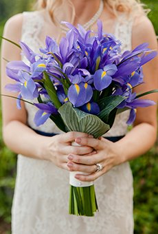 #FlowerOfTheWeek: Irises. #FlowerFriday