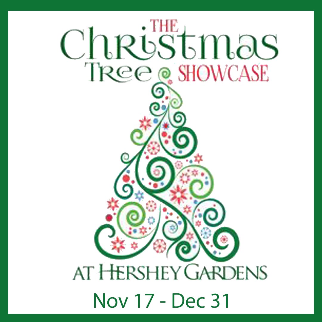 Michelle Sneidman (msneidmanremax) Twitter