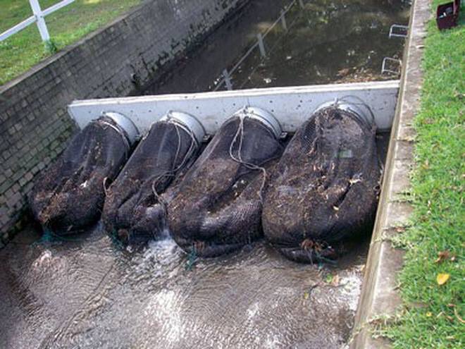 rodthorn's tweet photo. Australia has already started to test a network of drainage with mesh so that plastics and other pollutants do not reach rivers or sea. Creative solution, right? #pollution #plasticpollution https://t.co/sAExn6EvGz