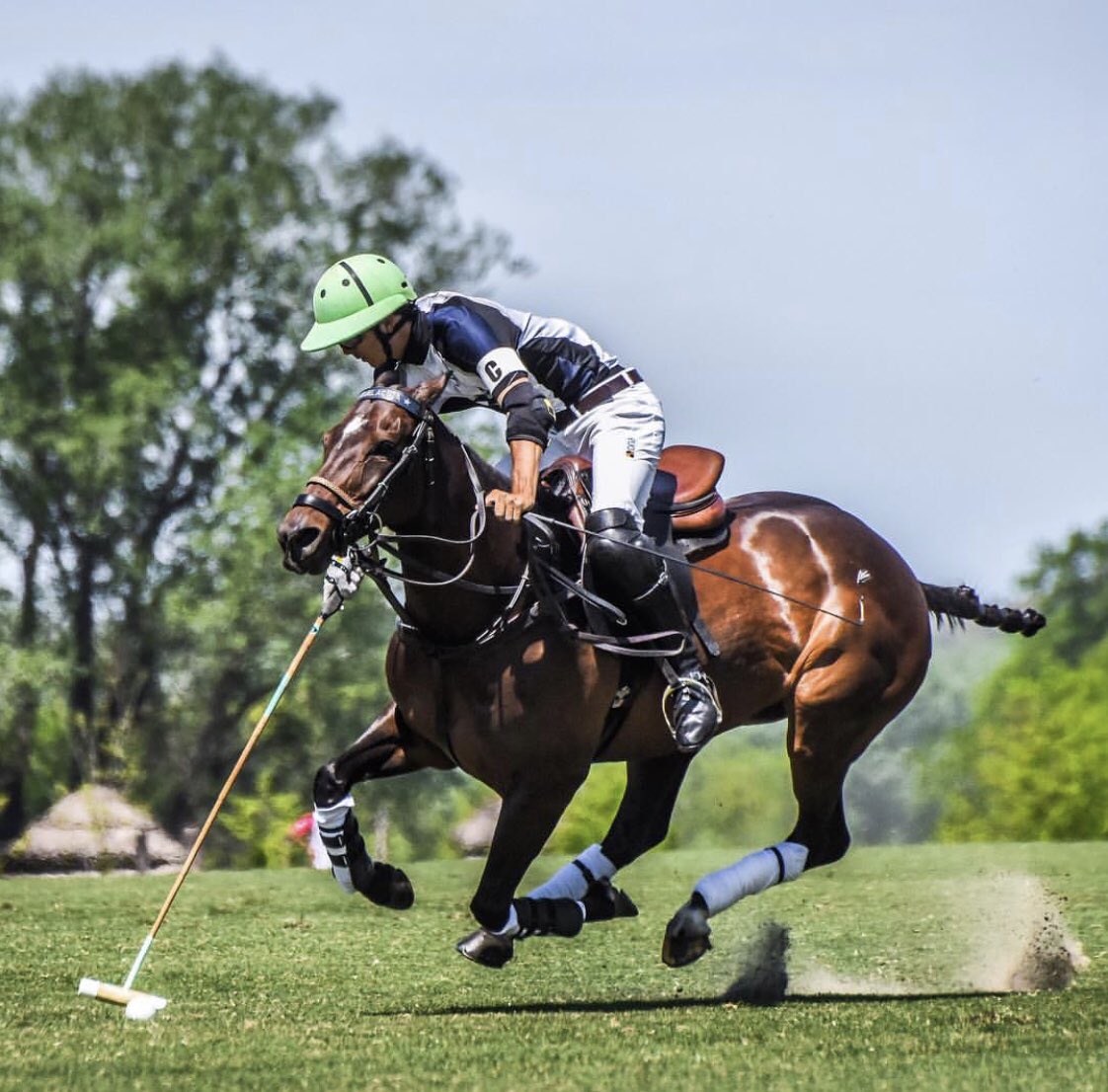GAME TIME 🔥 #LaEnsenada will make their #ArgentineOpen Championship debut tomorrow, Saturday, November 17, at 2pm (local time)! Vamos los pibes! #FlyingPonyFriday #APPLplayers 
Ph: @hccruden