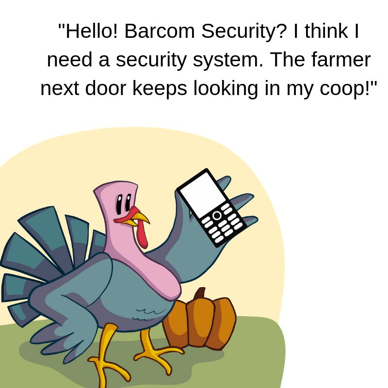 Barcom_Security's tweet photo. When you notice some strange individuals roaming around your home, it’s time to call a company that you can trust!
#SouthernIllinois #BellevilleIllinois #StLouisMissouri #SwanseaIllinois #BarcomSecurity #thanksgivingturkey #thanksgiving https://t.co/YOWeKWXra5