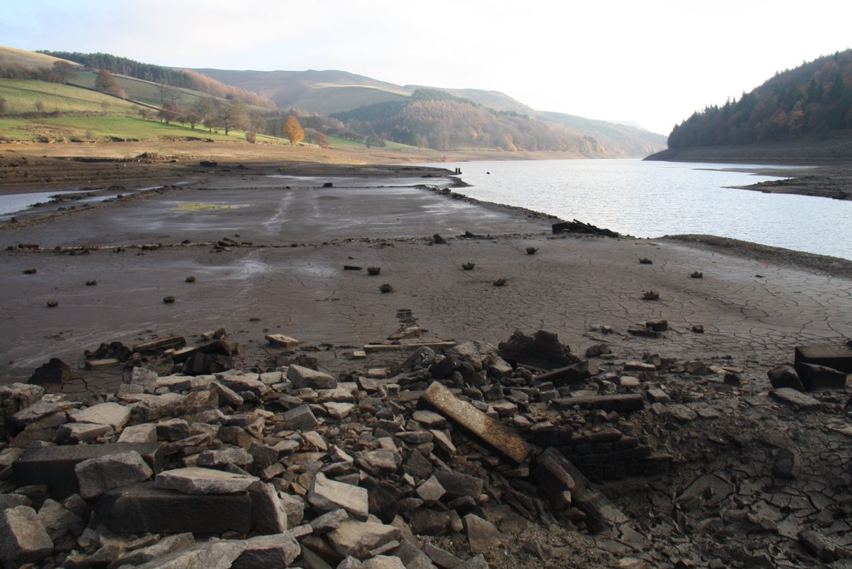 Remains of topiary in the grounds of Derwent Hall  #Ladybower #lostvillages