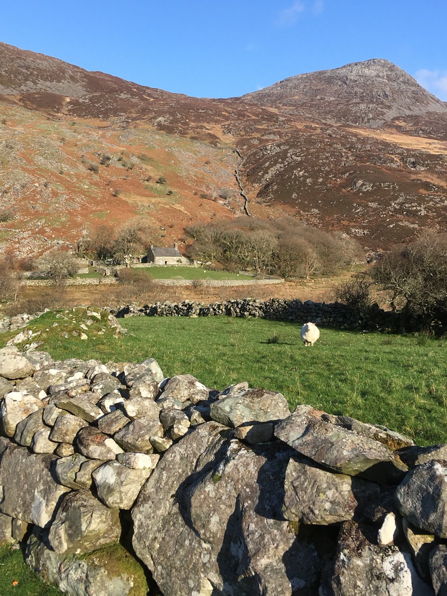 JudyCorbett's tweet photo. Oh Wales! #CaruCymru #DayOut #RomanSteps #CwmBychan #Harlech #beautiful https://t.co/MonS4Of4zS