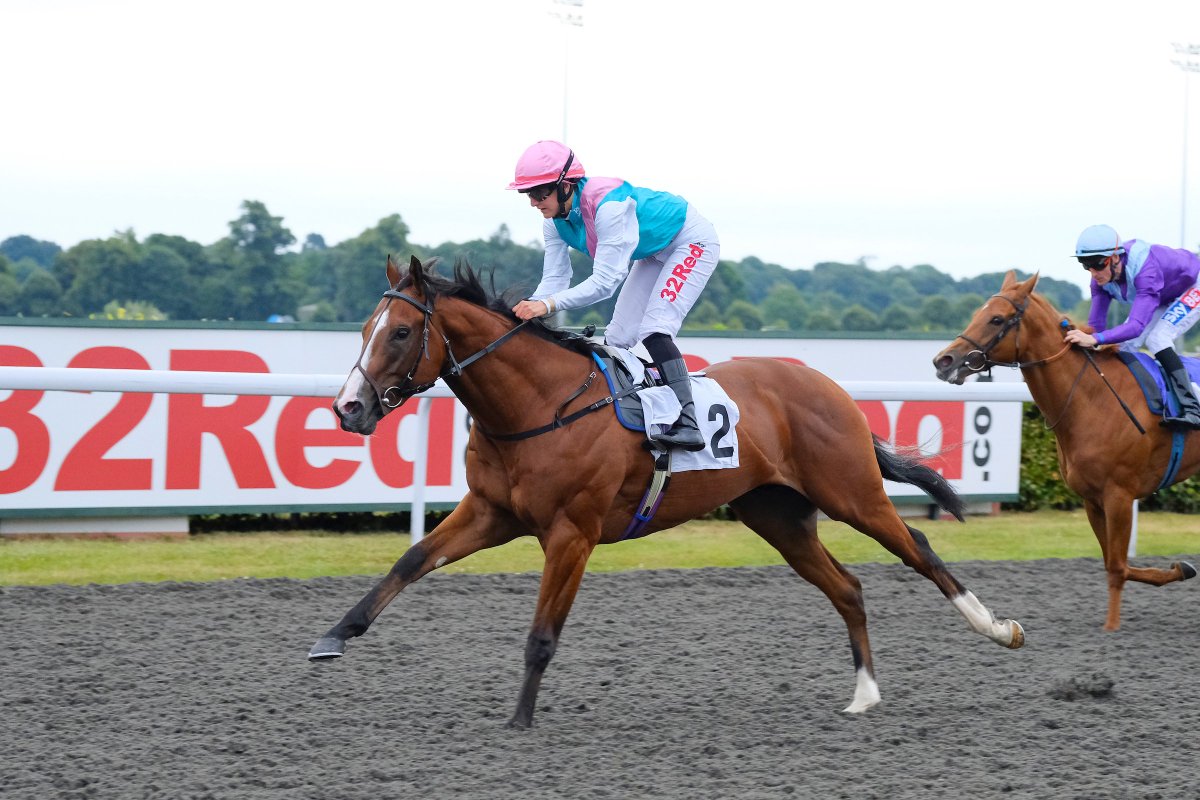 awchamps's tweet photo. The @betway Golden Rose Declarations at @LingfieldPark 1 of 3!
🏇 Gifted Master
🏇 Muthmir
🏇 Encrypted
🏇 Intisaab
#AWChamps Sprint Fast-Track Qualifier - https://t.co/iEvZCOVOeX https://t.co/0KQ4BHkNbx