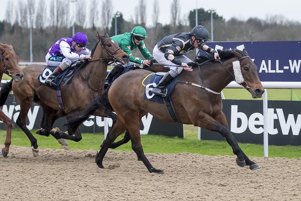 awchamps's tweet photo. The @betway Golden Rose Declarations at @LingfieldPark 1 of 3!
🏇 Gifted Master
🏇 Muthmir
🏇 Encrypted
🏇 Intisaab
#AWChamps Sprint Fast-Track Qualifier - https://t.co/iEvZCOVOeX https://t.co/0KQ4BHkNbx