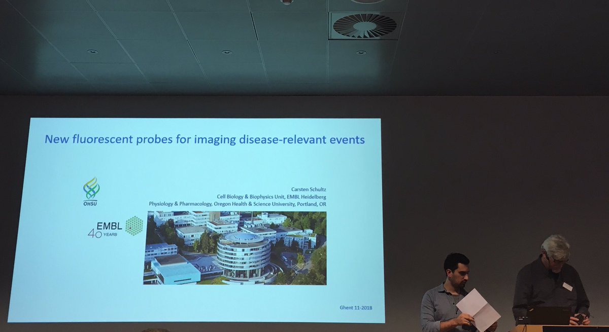 Lab_Klymchenko's tweet photo. Get to know new diverse fluorescent probes during the talk of Carsten Schulz on #IMOB18 new reporters bring new results https://t.co/sIx745cwha