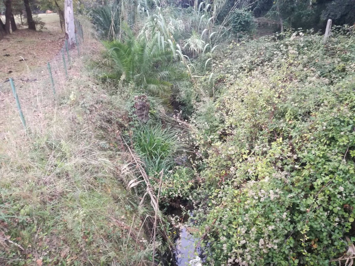 ErnestoRocco1's tweet image. Pulizia dei #Valloni a #Castellabate, Maurano accusa: è tutto un bluff 
#CastellabateNotizie #Cilento #CilentoNotizie #LuigiMaurano
is.gd/FN4aNk