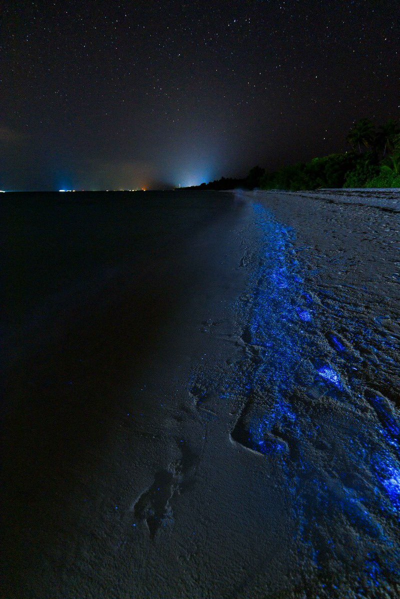 Captured this mesmerising sight just lastnight - this rare and magical natural phenomena leaves us in awe everytime! Could this be just a dream? We think not!💙 #bioluminescence #bioluminescencemaldives #bioluminescentplanktons #naturalphenomena #dhigurah #dhiguvelimaldives