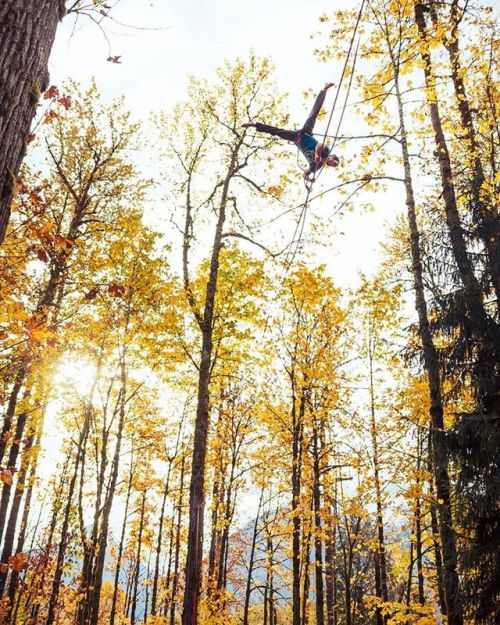slackstore's tweet image. Unfortunately I haven’t been able to do much slacklining... #slacklife