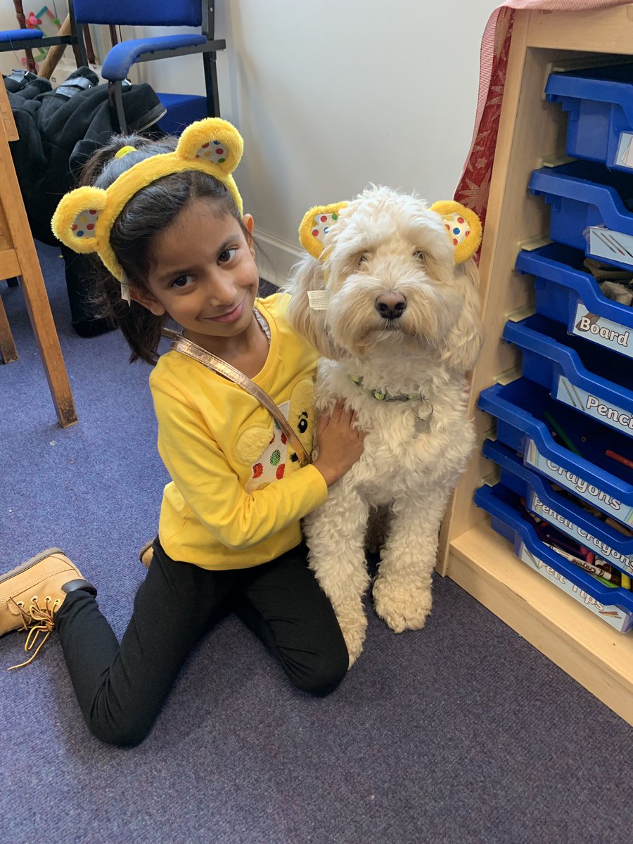 SarahPeek7's tweet photo. Two Pudsey’s in class today. 🐶🐻#schooldog #fantafriday @sneintonprimary https://t.co/kgKRV8ghJv