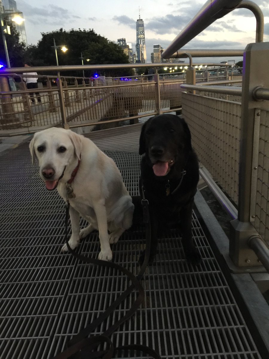 Zulu &amp; Lucy