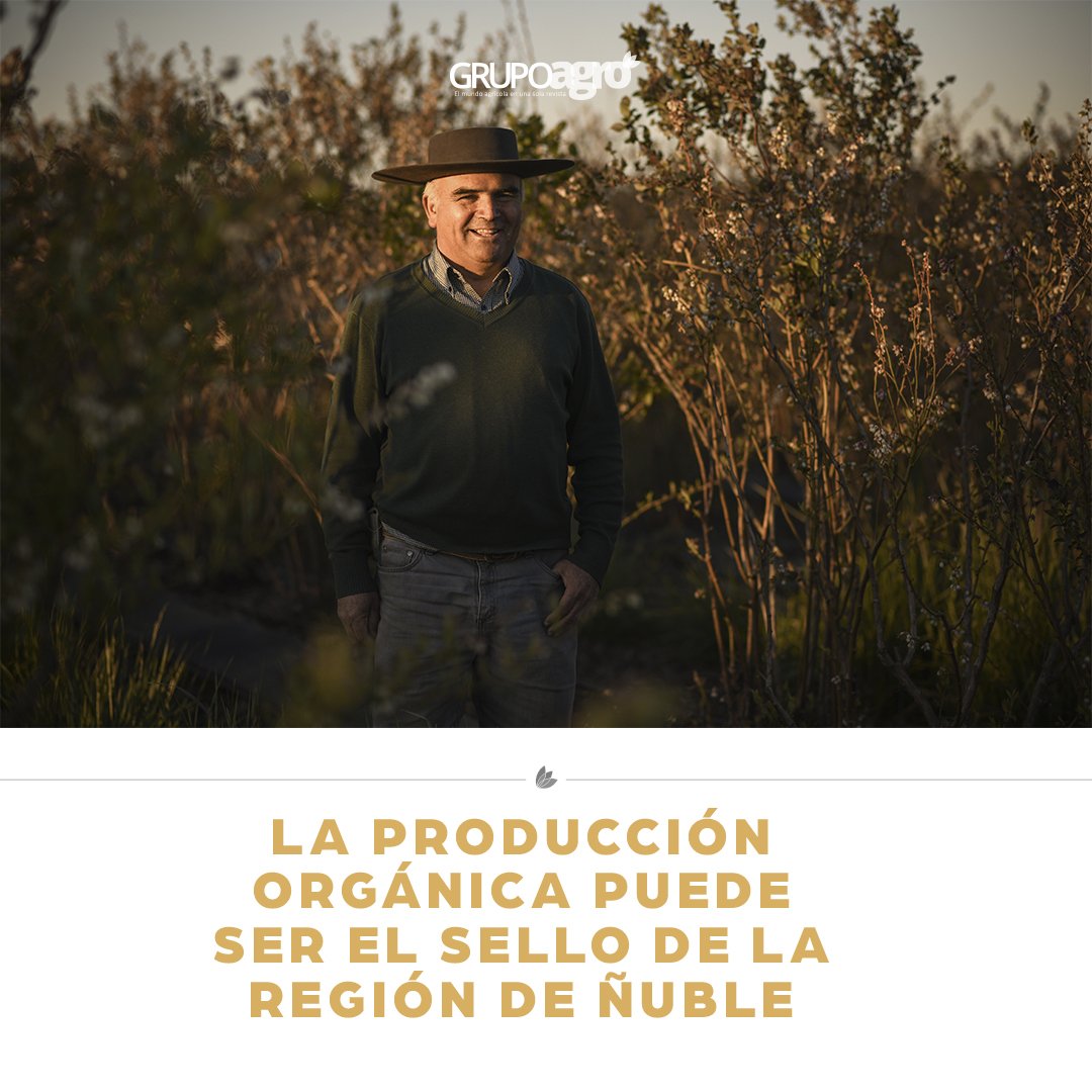 codigoc1's tweet image. FERNANDO RODRÍGUEZ: DE DULCE Y AGRAZ “LA PRODUCCIÓN ORGÁNICA PUEDE SER EL SELLO DE LA REGIÓN DE ÑUBLE”

Revisa el reportaje completo en el siguiente link:
revistagrupoagro.cl/fernando-rodri…

#RevistaGrupoAgro #FernandoRodríguez #ProducciónOrgánica #Ñuble #RegióndeÑuble