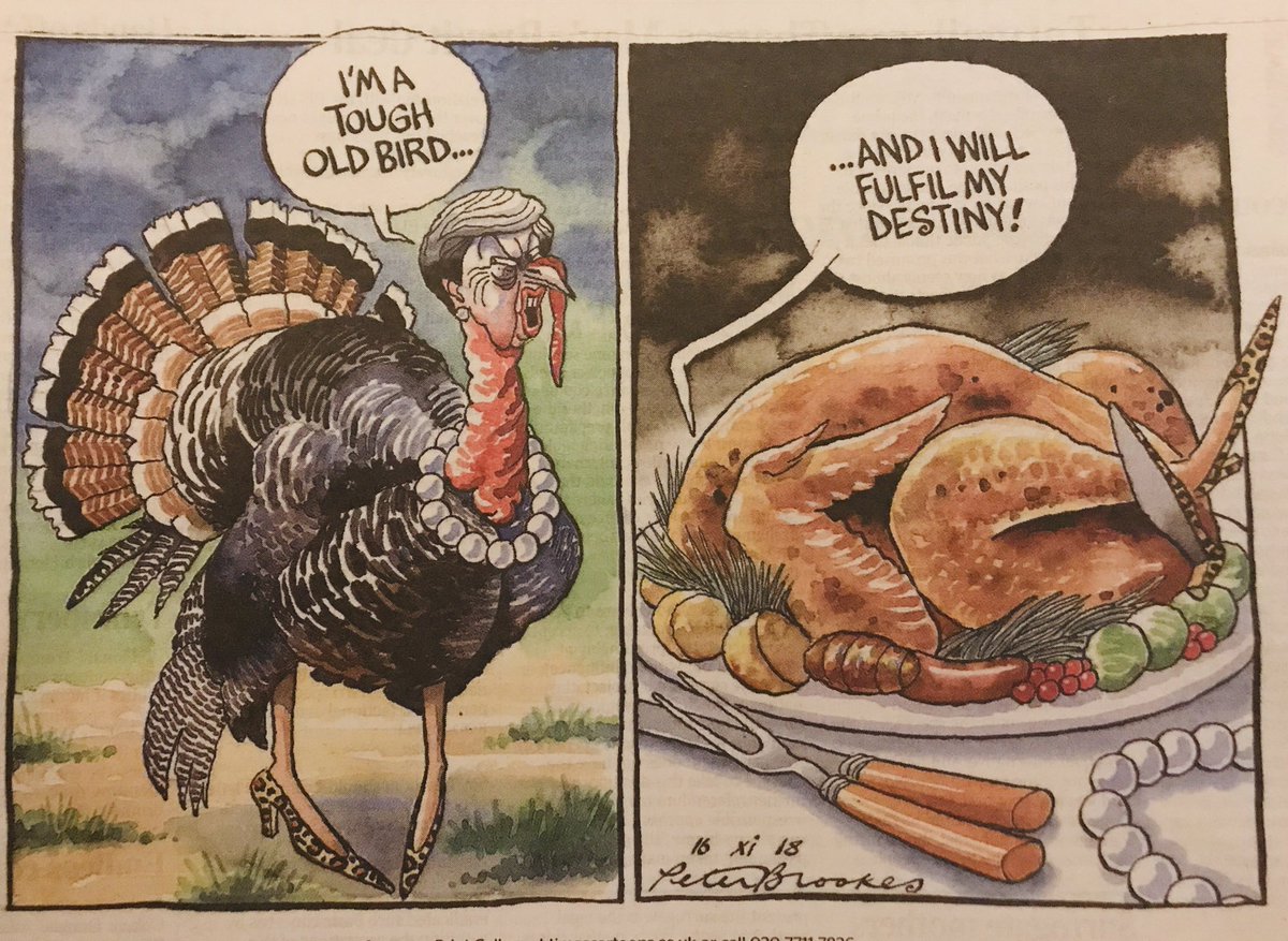 LizWebsterSBF's tweet photo. #Christmas desires come home to roost.
#BrexitChaos #BrexitResignations #BrexitMeansBrexit #FinalSayForAll https://t.co/uPivpxkE9W
