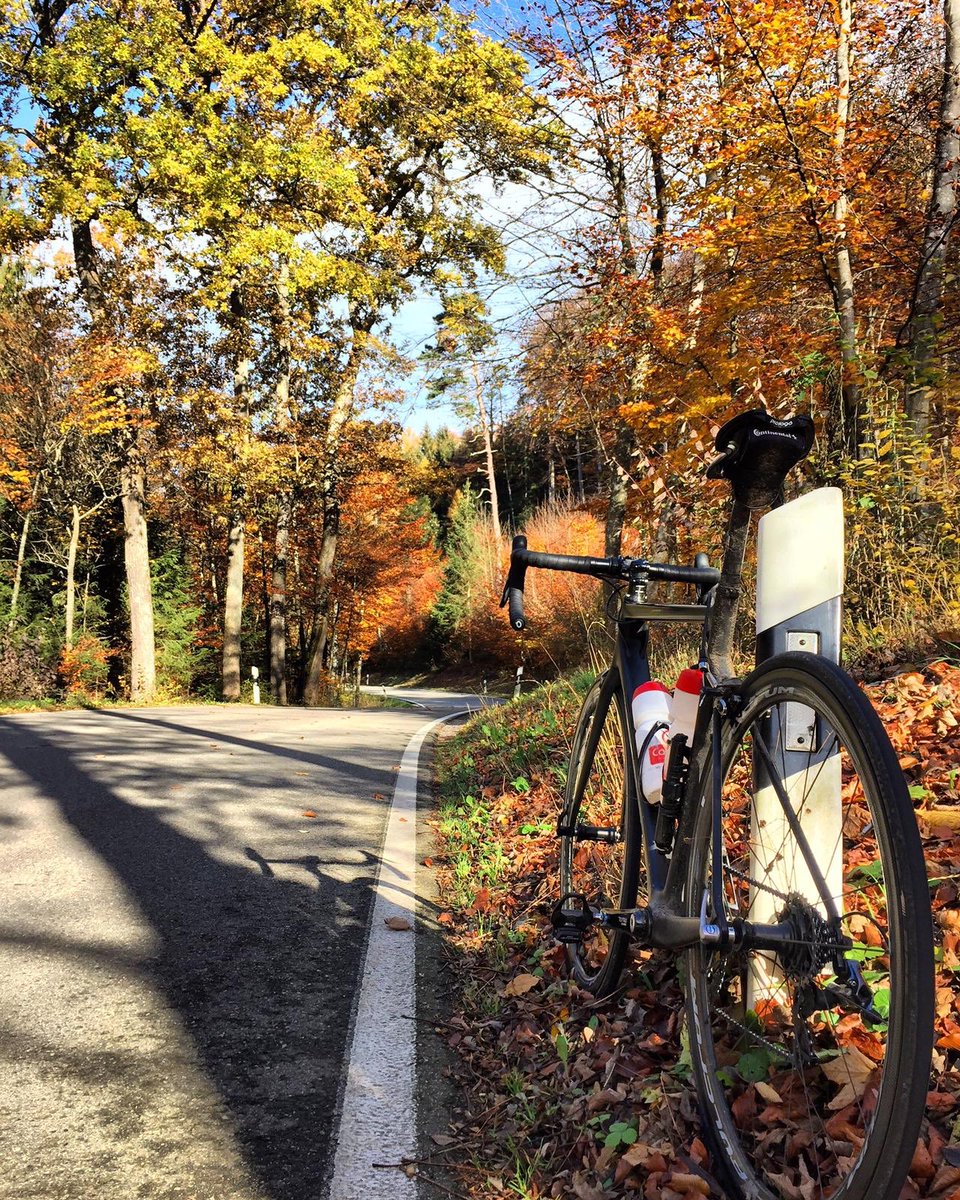 OMXProTeam's tweet photo. This weekend our riders are spread across four continents.
🌏🌍🌎
@raphaelgagne is the furthest north in snowy 🇨🇦 whilst @MariskeStrauss and @FrazerClacherty form the Southern Hemisphere contingent in 🇿🇦 and 🇦🇺, and @MartinGluth keeps in autumnal in 🇩🇪!

#weareOMX #fromwhereiride https://t.co/9nQEnT2nfy