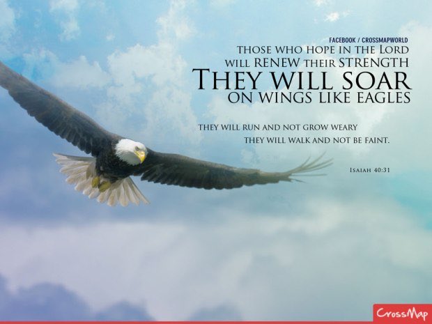 sqscott1974's tweet photo. Eagles! We are praying for you tonight! Rise up, play hard and SOAR! Cling to this verse and your strength will be renewed! #nomistakes  🏈🦅 https://t.co/R1M6gHLkgN