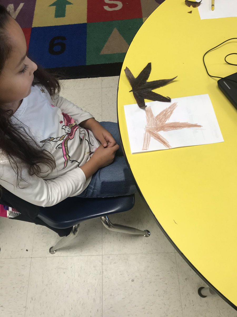 BrinnDoyle's tweet photo. My 1st graders love Mystery Science lessons. @MunfordElem @TcboeE @AngieSRobinson https://t.co/pPFfCXBHFW