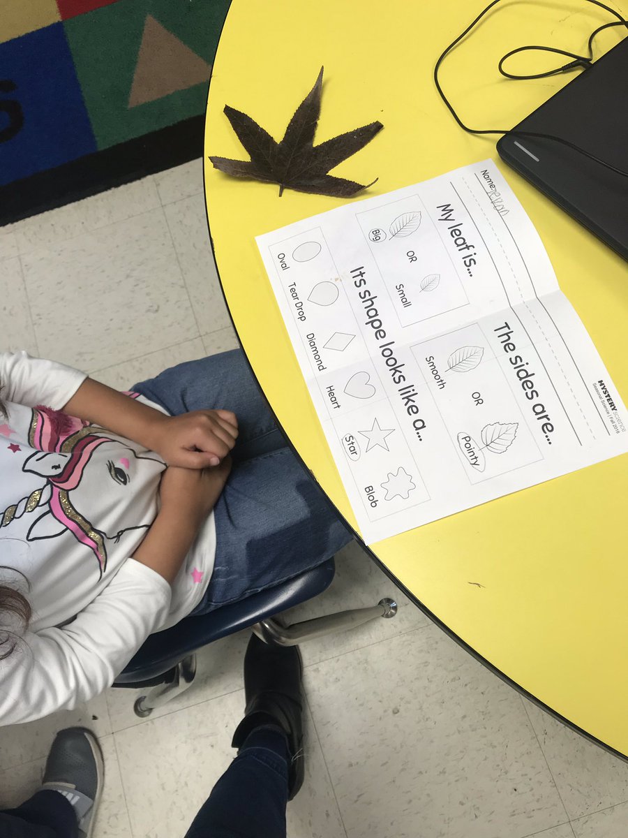 BrinnDoyle's tweet photo. My 1st graders love Mystery Science lessons. @MunfordElem @TcboeE @AngieSRobinson https://t.co/pPFfCXBHFW