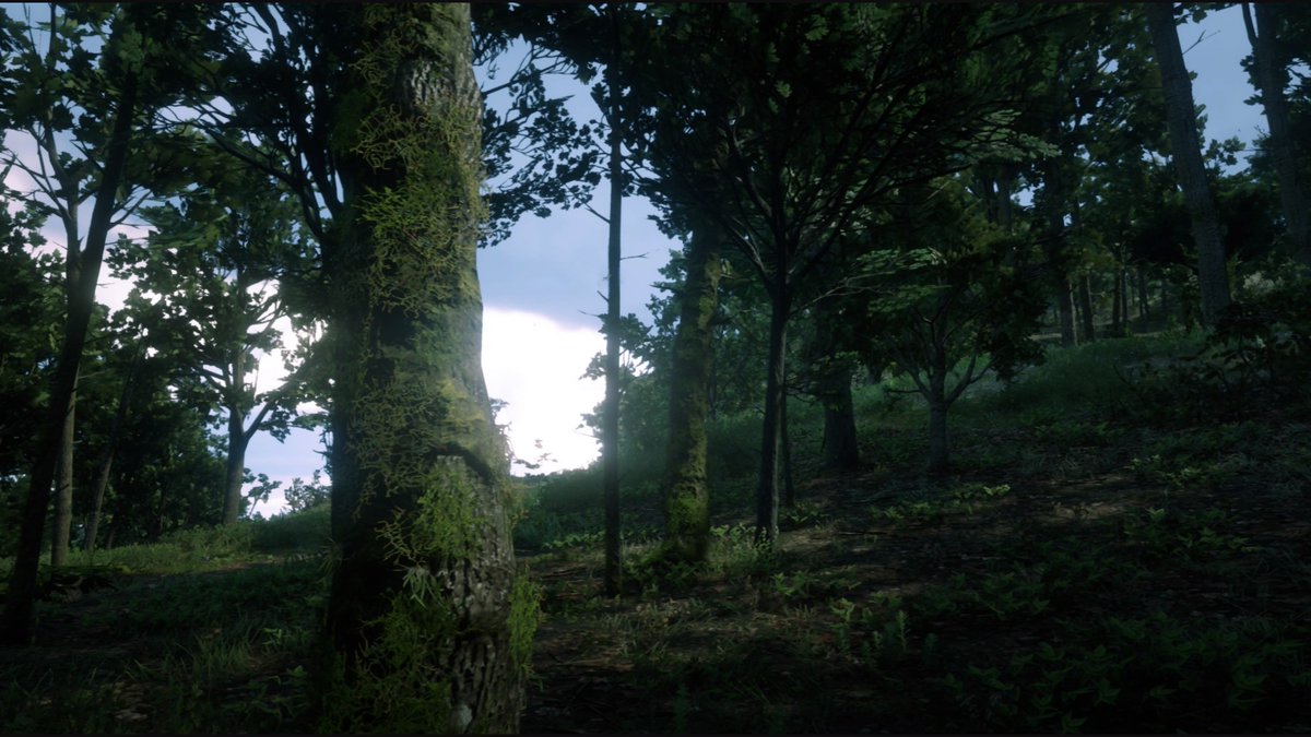 Positive_Nomad's tweet photo. It's like a vacation but deadly @Urban_Tentacles #VGPUnite #reddeadredemption2 #openworldgames #Exploringgames https://t.co/EbOb1EJUca
