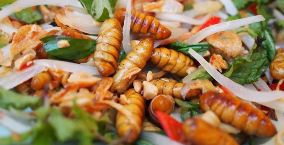 Nous le savons, les insectes sont remplis de protéines.
Le ver mopane, est rempli de potassium, magnésium et fer ; le ver blanc est riche en oméga 9 et vitamines, le ver de farine a du cuivre, élément essentiel à notre foie, nos reins, notre cerveau et notre cœur !