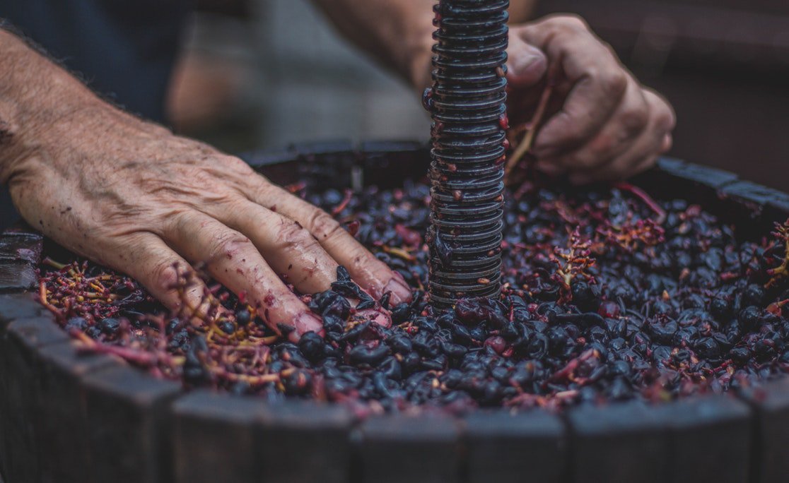 italianside's tweet photo. The grape harvest, the wine and all products made from grapes and wine, such as ‘#grappa’ or ‘#vincotto’, are great #Italiantraditions.  
Have ever your relatives told you something about grape harvest and wine? 
Do you have a family tradition related to wine? 
Share it with us! https://t.co/RuoOy5l5Jx