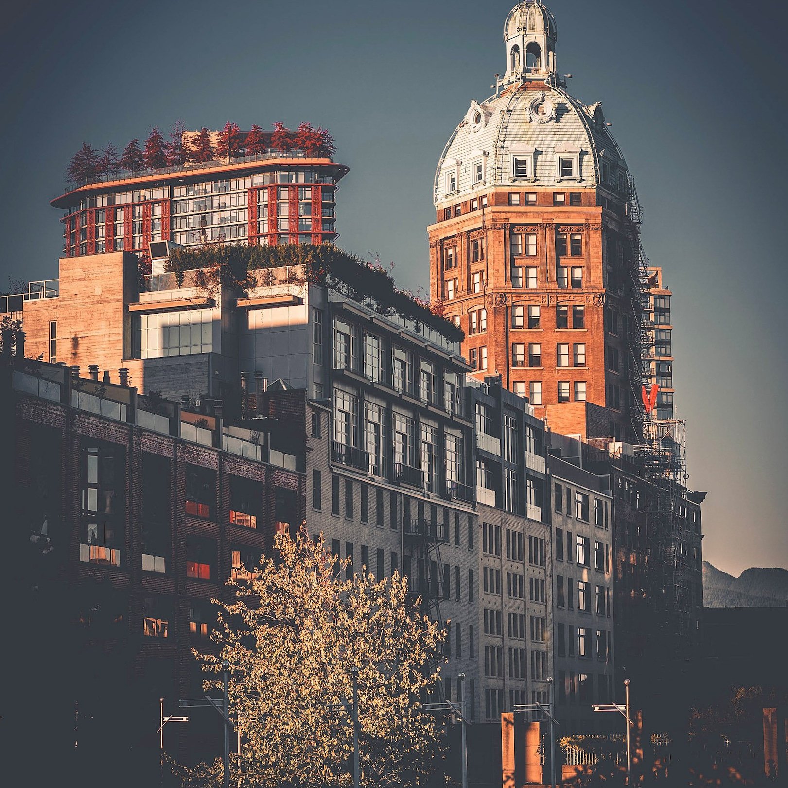 Sheldon.Carter (AuratSheldon) / Twitter