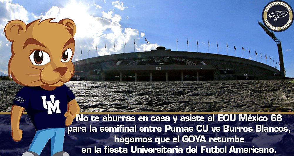 ComunidadPumasU's tweet photo. ¡¡ Llenemos el estadio y #QueRetumbeElGoya en esta #FiestaDeportiva🏈‼️
✨💙 #ALlenarCU #Football #PumasLaVida #PorLaGloriaDelEquipo #OrgulloAzulYOro #PumasWin #GoyaUniversidad 💙✨
#UNAMvsPOLI #PumasvsBurros #GoyaHuelum #Semifinal #LigaMayor2018 🏟️🏈 https://t.co/AUez6VSdPU