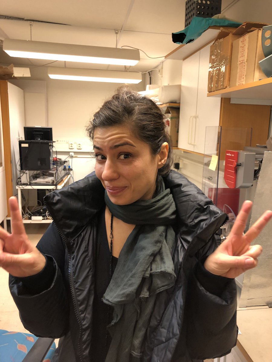BiobasedEl's tweet photo. The #designer #Farvash #Razavi started collaboration with the #bioel (#biobased #electronics) team @RISEBioeconomy on new active materials to visualize #explosion #implosion & #camoflage https://t.co/05imR1iloS