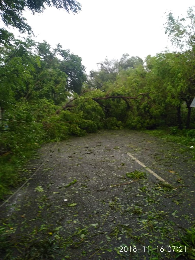 tnsdma's tweet image. வேதாரண்யத்தில் பேரிடர் மீட்பு பணியில் தீவிரவமாக ஈடுபட்டுள்ள நமது அரசு பணியாளர்களை ஊக்குவிக்கலாமே! பகிரவும் #Retweet #GajaCyclone #OurHeroes ஒருவருக்கொருவர் உதவ ஒருங்கிணைவோம் #OurHeroes