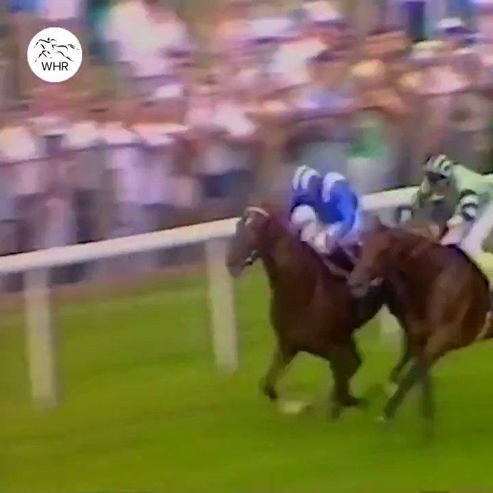 Happy Birthday Willie Carson! Follow for more great Racing content.  