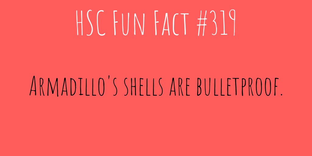 HSC #FunFactFriday is here! 😍
_______
#didyouknow #funfact #HSC #NIU #huskies
