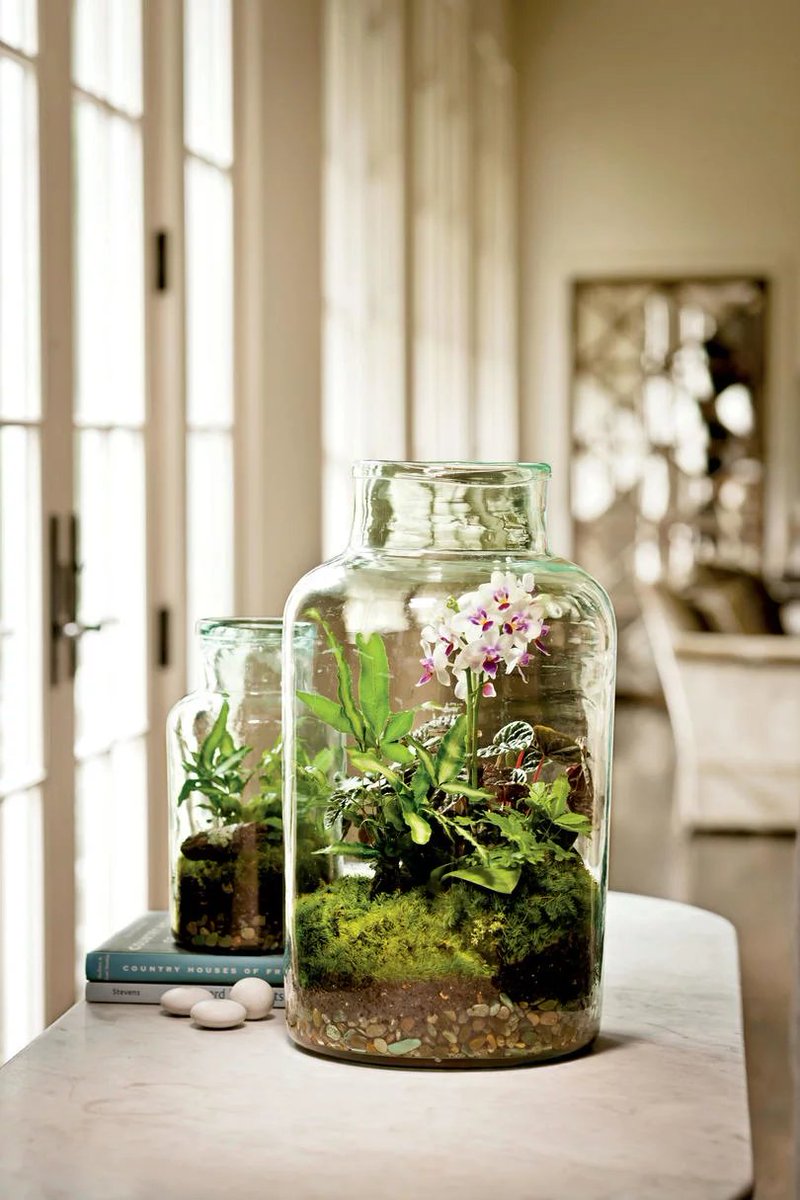 Indoor Container Gardening Ideas southernliving.com/home-garden/ga… #landscaping #landscape #landscapeideas #indoor #diy #garden #gardening #gardeningtips #plants #planting