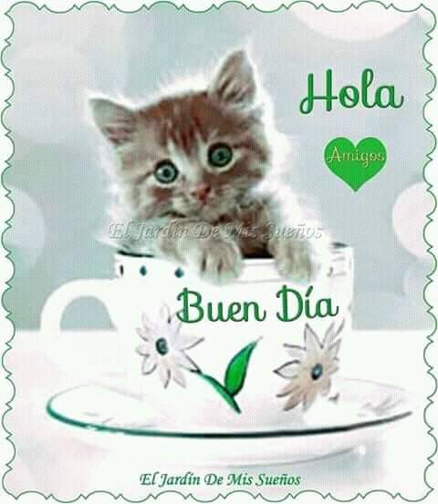 leyvaarizper's tweet photo. @yamelitadubay1 Lindo día bb un millón de besos y bendiciones hermosa https://t.co/aFkMRkeZ3I