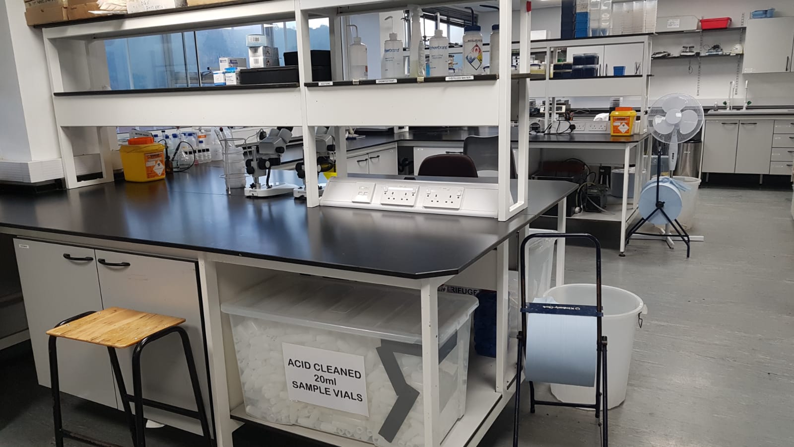 BangorWetlandsGroup on Twitter: