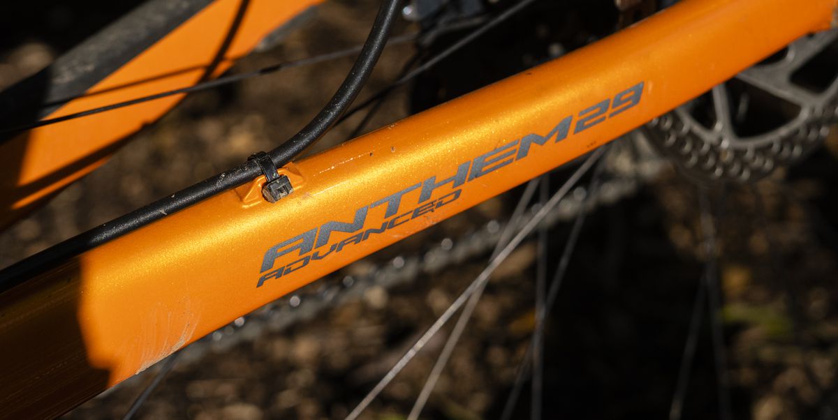 berridgebikes's tweet photo. This is one hot bike!  We have a 2018 Advance Anthem in the shop and it will be our biggest $$$ markdown during our Black Friday/Small Business Saturday sale next week. #BerridgeBikes https://t.co/99t1XDWwb8 https://t.co/pr2TBw8AJi