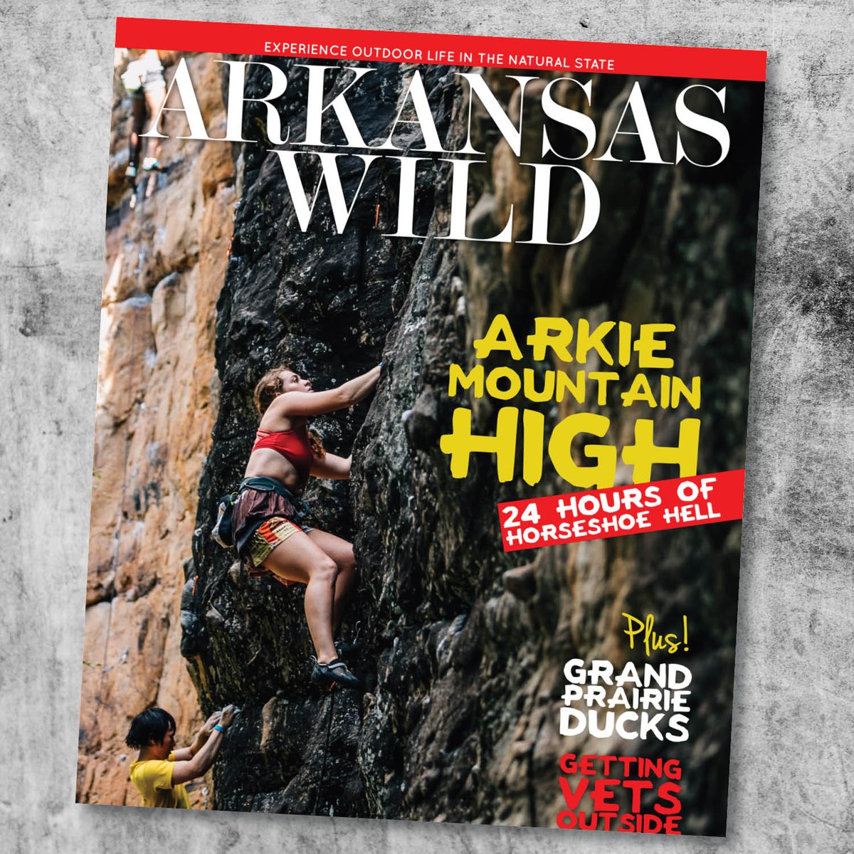 ArkansasWildMag's tweet photo. Check out the latest Arkansas Wild on stands now! 
You can also read the digital edition here https://t.co/whbo2B0FI7 https://t.co/BgXKUWxHoM